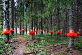 Trädbaletten, Skottvång